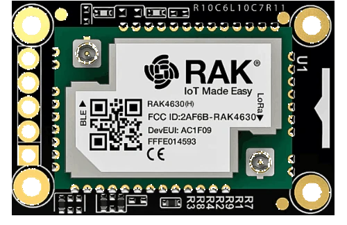 RAK 4631
